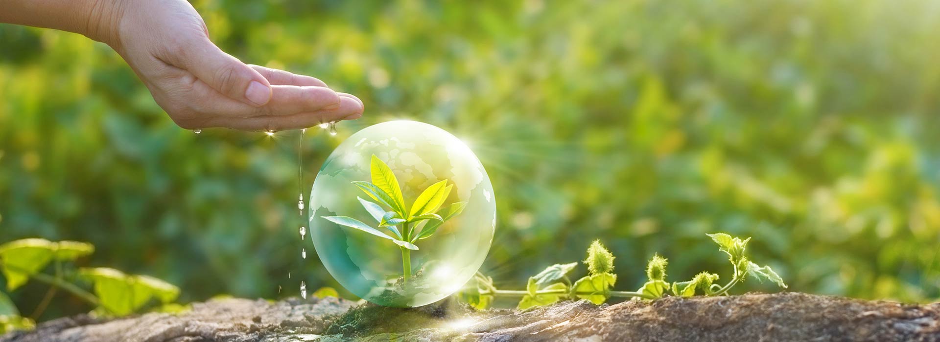Istitutito ICAF Investimenti e pratiche sostenibili